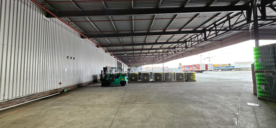 To Let commercial Property for Rent in Parow Industrial Western Cape